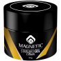 Magnetic Standard Gel Clear 50g 104108