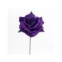 Volatile Purple Rose 10ml