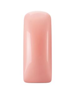 Magnetic Blush Gel, Wannabe 231408 TPO Vrij