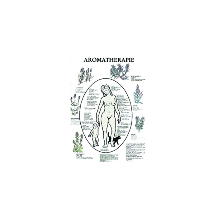 Poster Aromatherapie 42x60cm