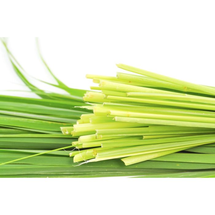 Volatile Citronella, 10ml