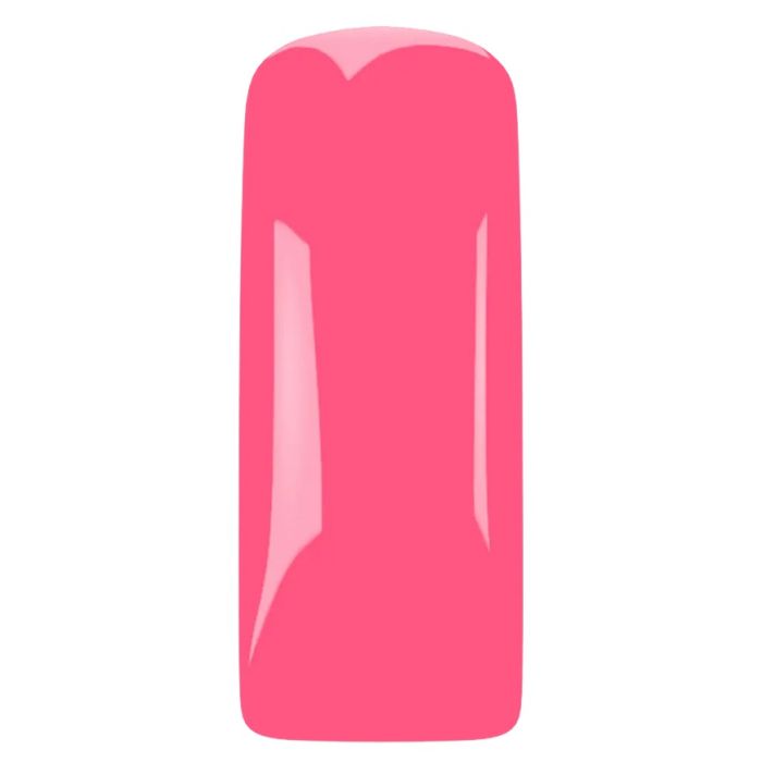 Magnetic Gelpolish Flamingo Flourish 15ML 103625 TPO VRIJ