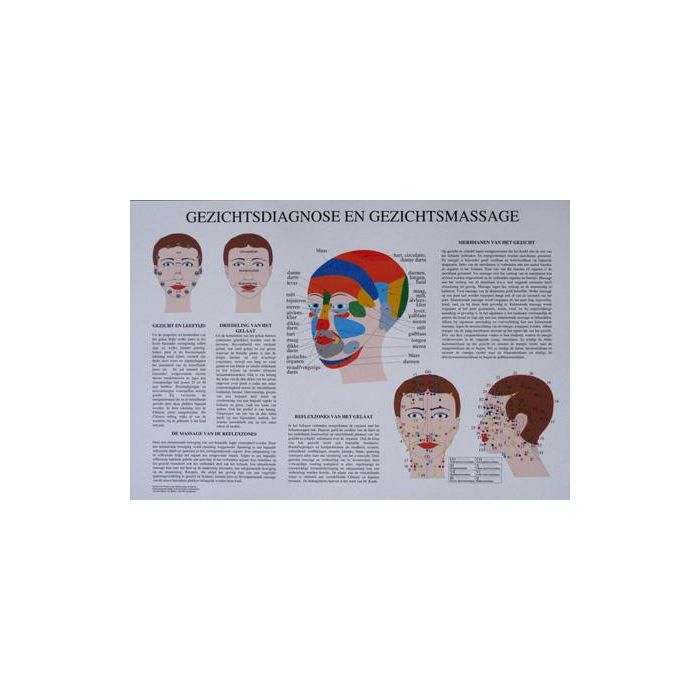 Poster Gezichtsdiagnose- en massage 60x42cm