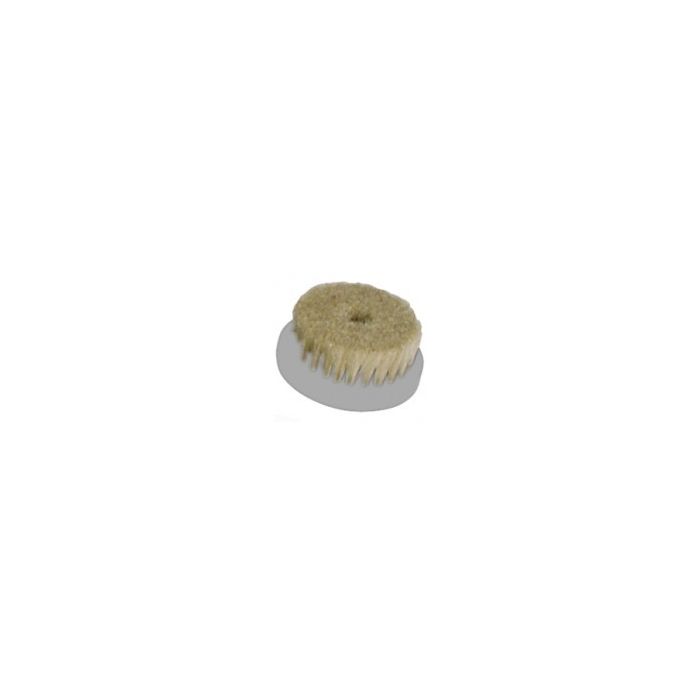 Bentlon / Gharieni Borstel 60mm hard