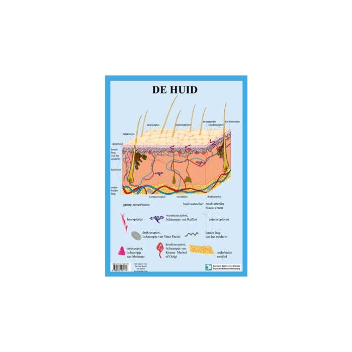 Poster De huid A3