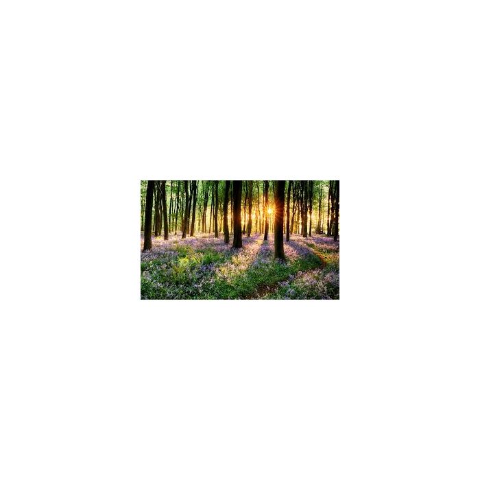 Volatile Lente mix, 10ml