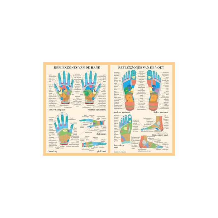 Poster Reflexzones van de hand en voet A2