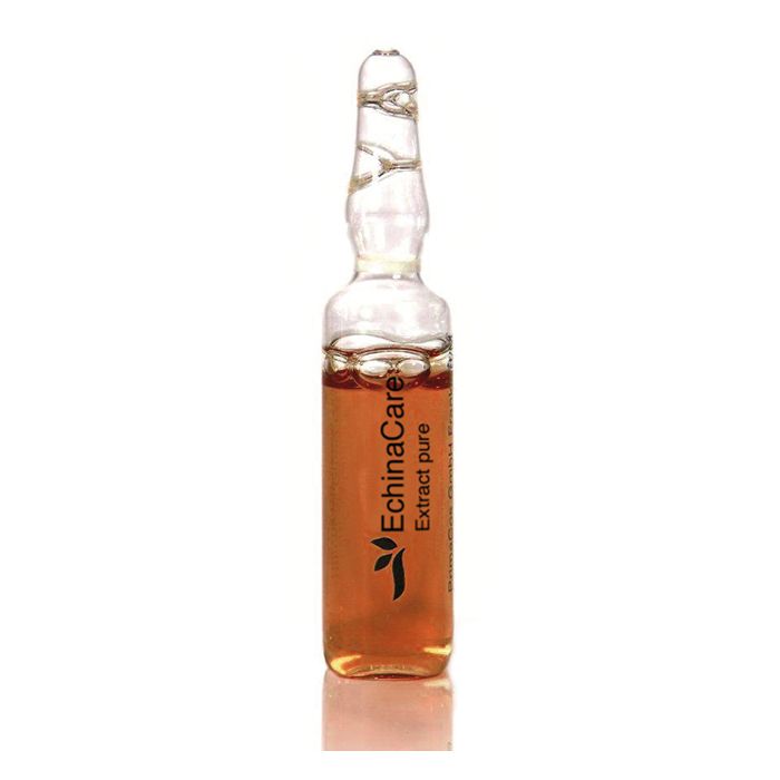 Santana Ampullen Echinacare 10st