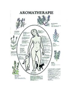 Poster Aromatherapie 42x60cm
