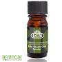 LCN Bio Glass Gel Sealer,
