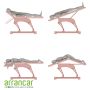Namrol Vera TP5  therapie tafel