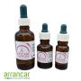 Rocare Mykose Tinctuur flesje 10ml