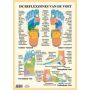 Poster Reflexzones van de voet, A3