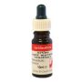 Orthofex Myko-EX tinctuur 10ml