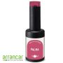 NCM Gel Polish 10ml. Palma