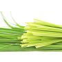Volatile Citronella, 10ml