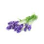 Volatile Lavandin 10ml