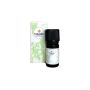 Volatile Zonnestraal 10ml