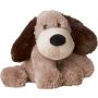 Volatile Buddy Hond Gary d.bruin