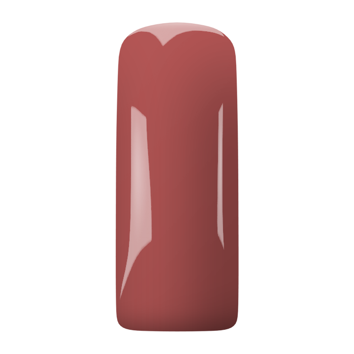 Magnetic Blush Gel Plum blossom 231494
