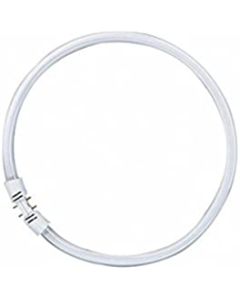 Luxo Circus vervanglamp T16-R 22/840