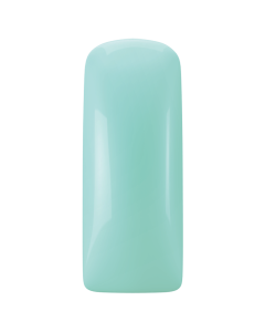Magnetic Blush Pastel Minty 231473