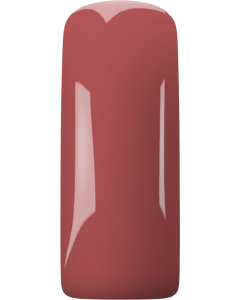 Magnetic Blush Gel Plum blossom 231494
