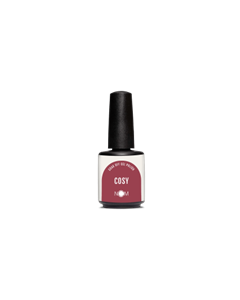 NCM Gel polish 15ml Cosy