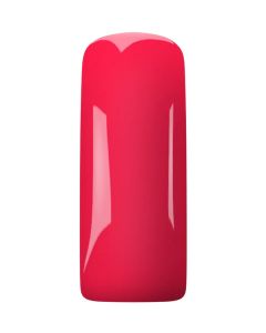 Magnetic Gelpolish  Carnation Crescendo 15ML 103624 TPO vrij