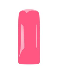 Magnetic Gelpolish Flamingo Flourish 15ML 103625 TPO vrij