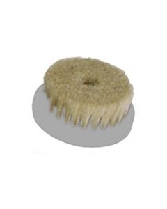 Bentlon / Gharieni Borstel 60mm hard