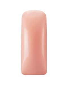 Magnetic Blush Gel, Bitchy 231409
