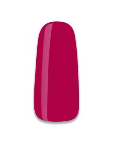 NCM Gel polish 15ml Casanova