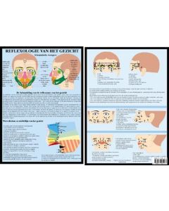 Poster reflexologie van het gezicht A4