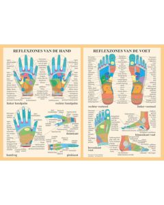 Poster Reflexzones van de hand en voet A2