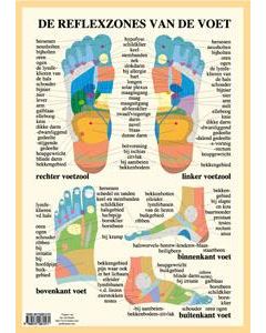 Poster Reflexzones van de voet, A2