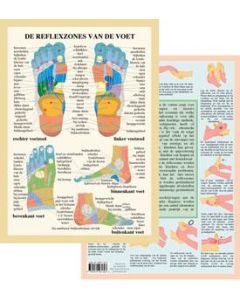 Poster De Reflexzones van de voet A4