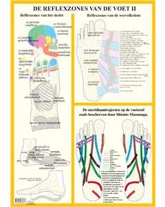 Poster De Reflexzones van de voet II